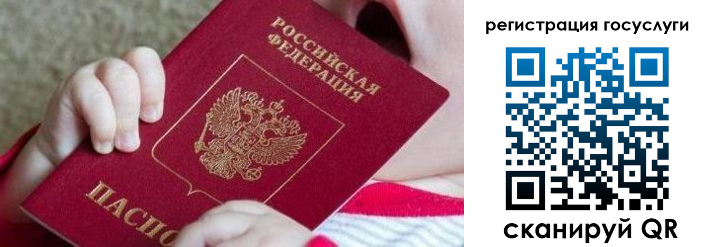 временная регистрация для всех в Курске